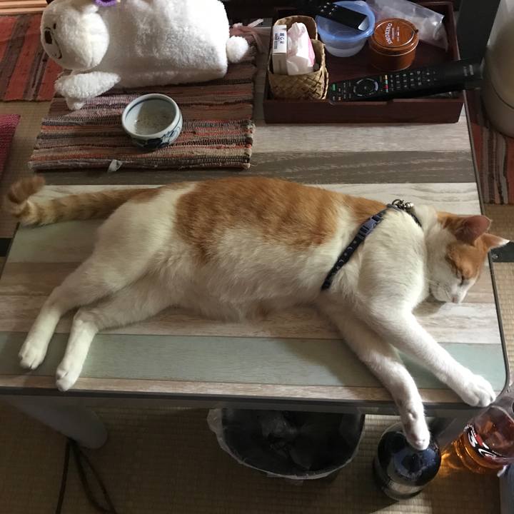 00914301 5668 4fe6 bf73 ac306caaf8a1 1531207460583