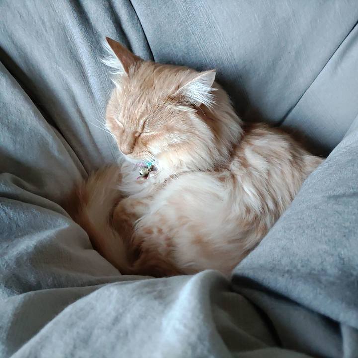 00916589 bd1f 4673 8795 54c64f39db88 1673571923954