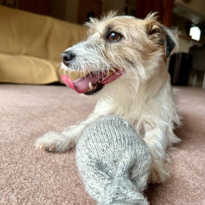 009181aa 35ef 4a3f 82c3 3dbeda4e7fff 1712413234405