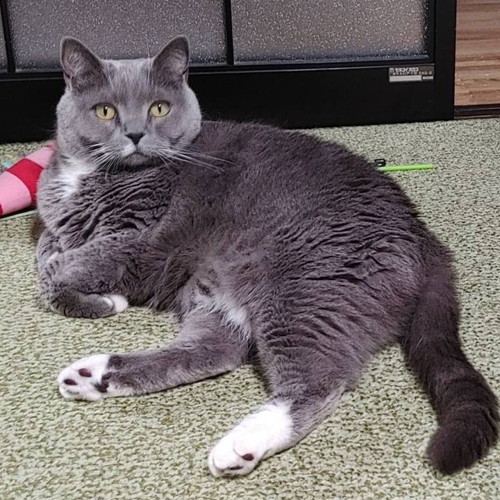 00918704 6036 4aa2 ac8b 0eb05dd31422 1678533145735