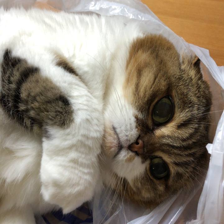 009187fe 0c64 4ab4 9dbc 83c1af3f32b9 1538992157335