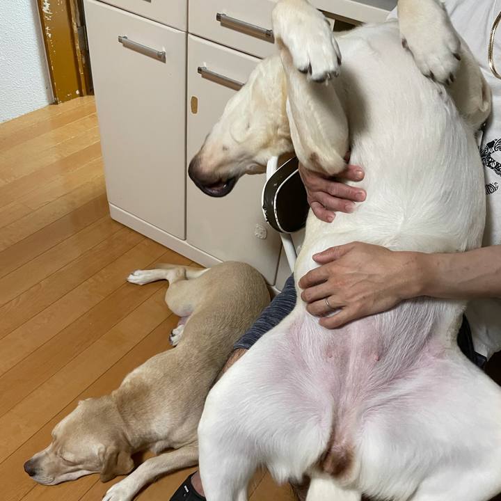 00919e50 bb60 4307 ae84 8854f9be5f01 1632100666846