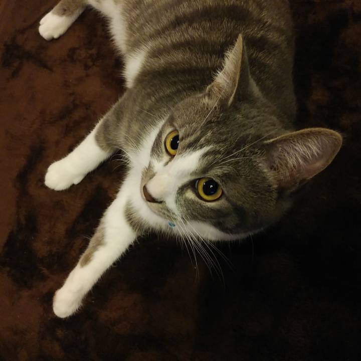 0091f4a2 d286 4181 bdfc 9b4e00c02ff6 1580915302763