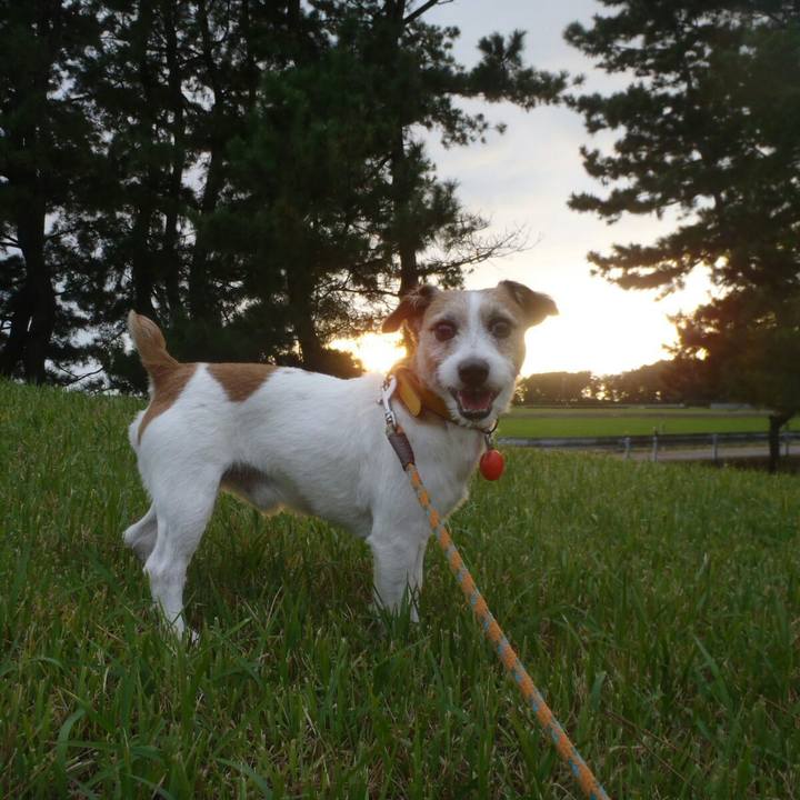 0091f550 a420 4fa1 9c61 a11bc15242f6 1507888541375