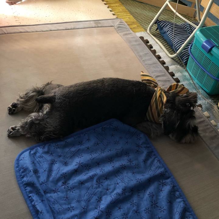 00920976 ff01 4f63 a614 b967f801e591 1630212867235