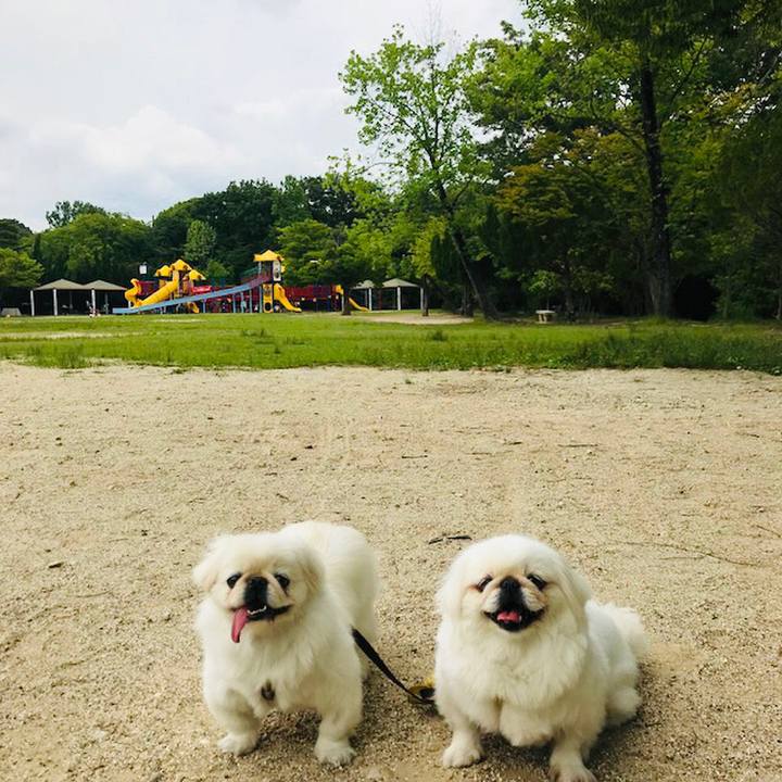 00928de0 ee1d 4137 998e 29d093cf5a33 1622631622801