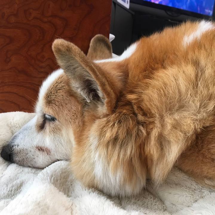 0092a171 8e12 4b49 956e b16d306b2db5 1549855949080