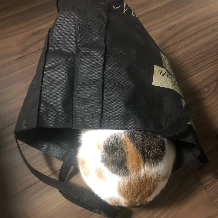 0092b58a 06d9 40a7 880b 2413dab91db5 1574825300527