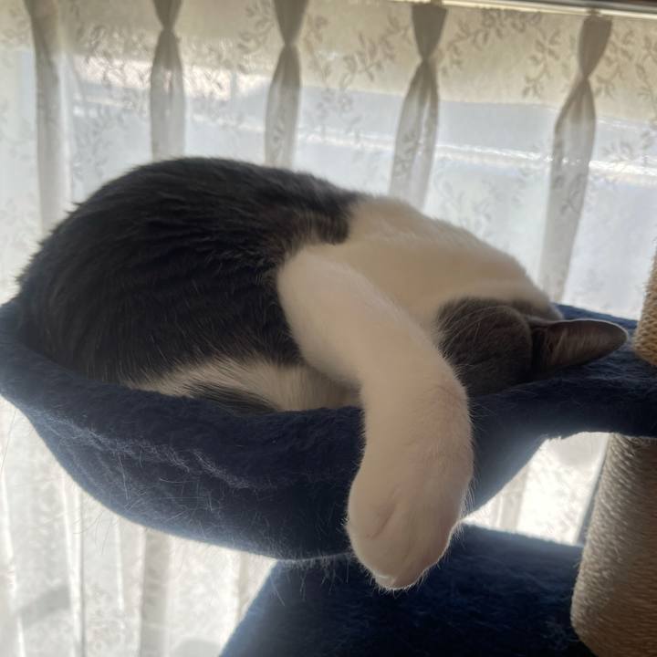 0092baa0 a93c 4df6 a4cd b184c69d6541 1636771177132