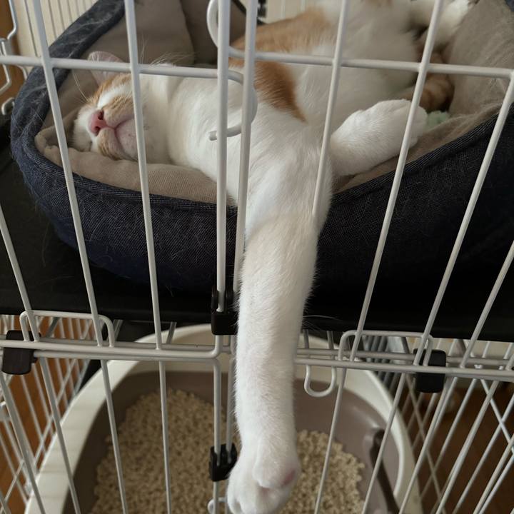 0092bae9 d61b 4d03 b484 6e0b71094ffd 1720327900333