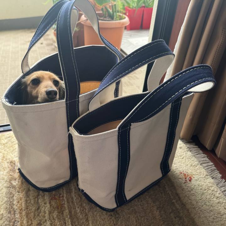 0092d662 4d3f 4d51 887f 2c7ec2619055 1718208900684