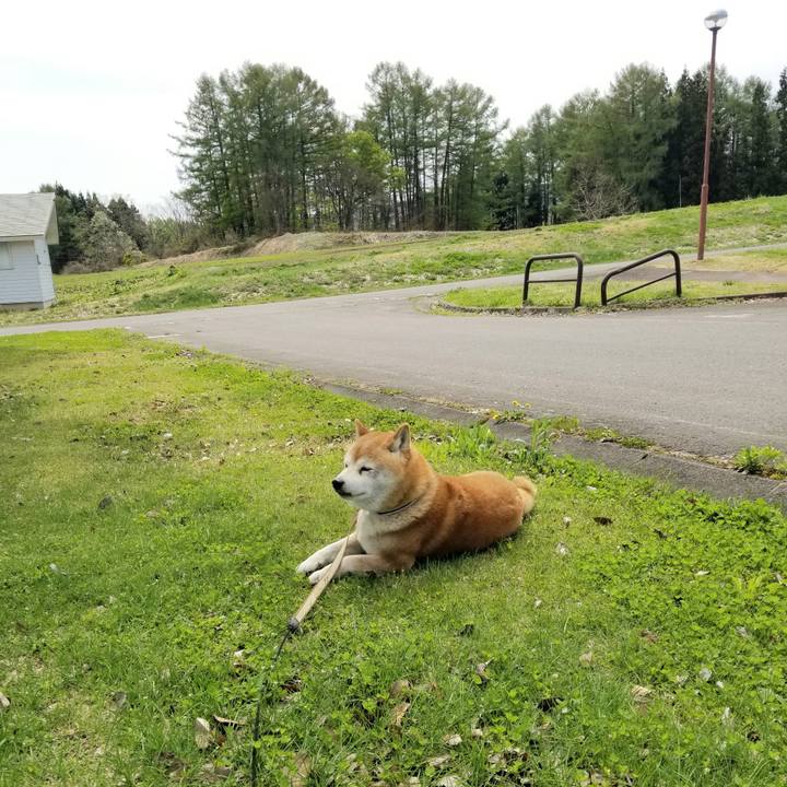 00930d57 b681 43d1 8b48 28f6f55abca4 1651116118452