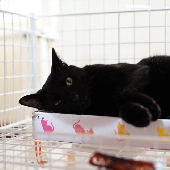 009321ad 0140 49ca 851f 9d0652fedbbb 1531439689543