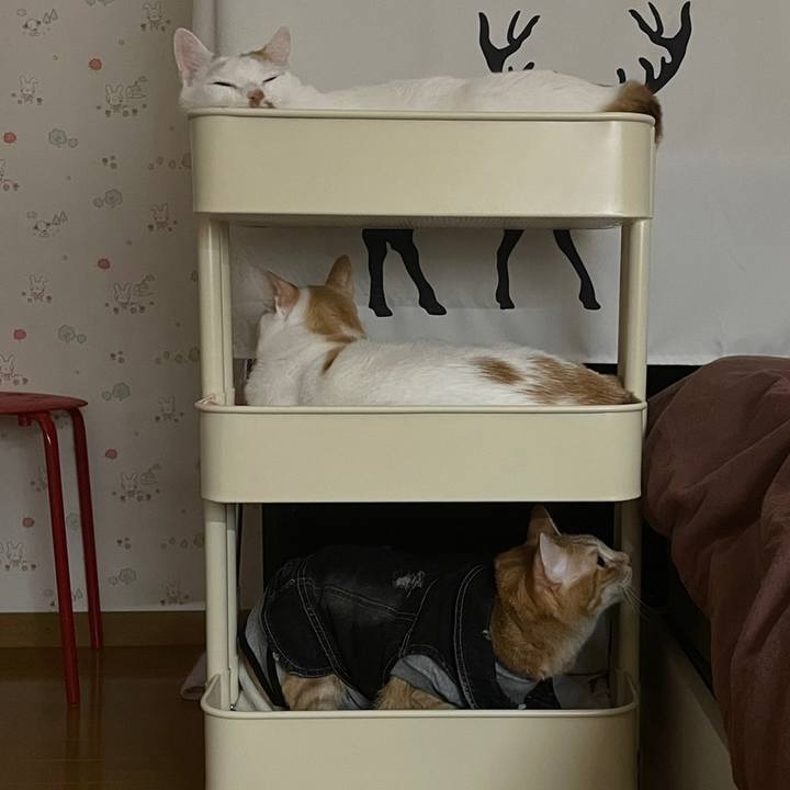 009355d1 3e35 4cbd ad08 a3c58605645f 1643605198425