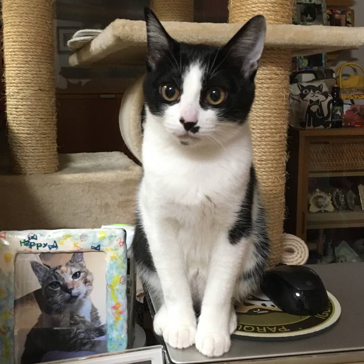 00937fb6 7776 4cad 8c68 225dd0af58da 1579696776741