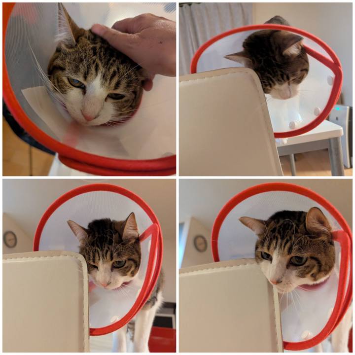 00938bda b373 4863 9f90 9187c69b7edf 1764650174605