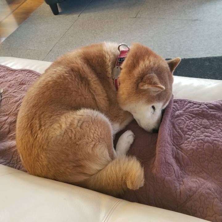 00938ef4 bc32 43af b558 9bb105d8ced8 1734046872611