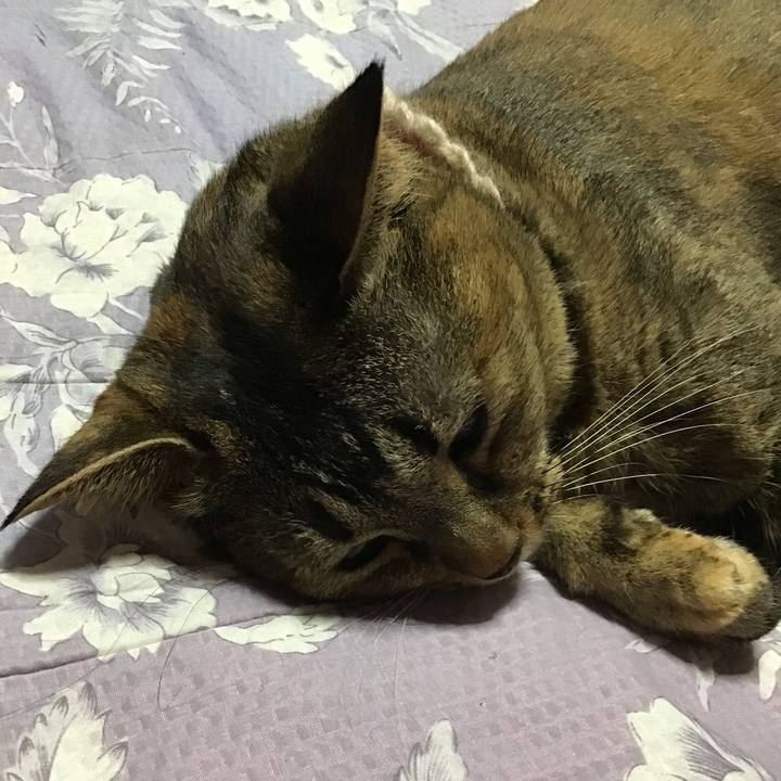 0093a042 b90a 428c 85f8 6628c5e94796 1722334439348