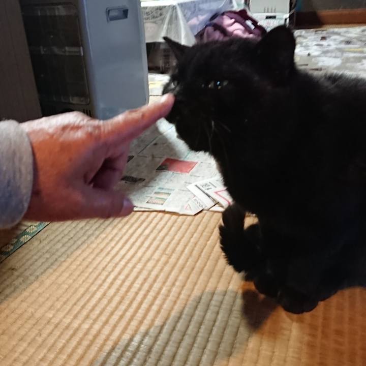 00941539 45f1 4884 bbe3 2ae214815ea7 1618736826220