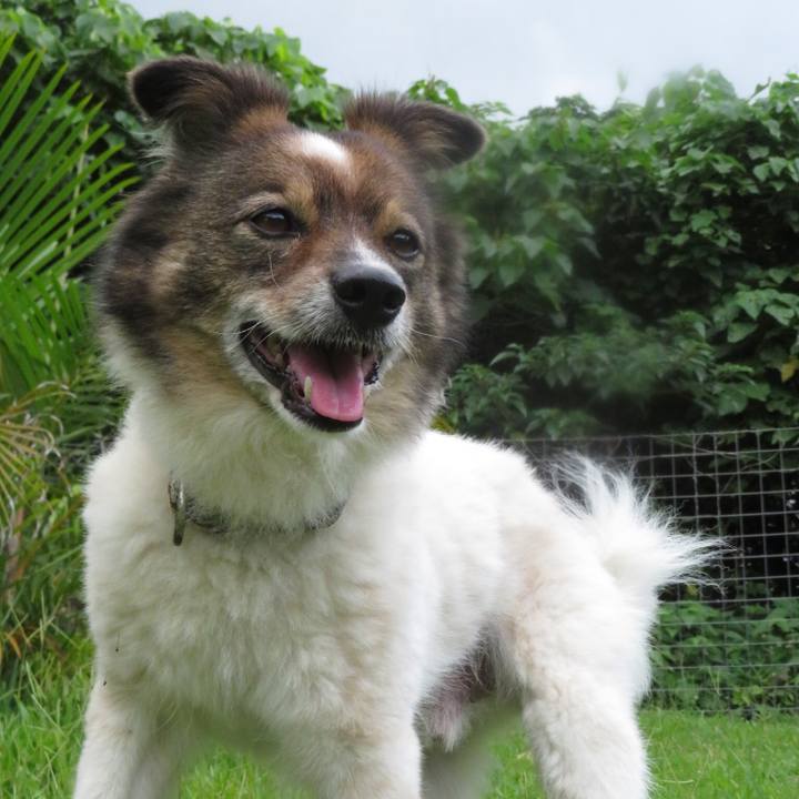 00943825 b430 4911 92f5 791be4d2c0a7 1559468822331