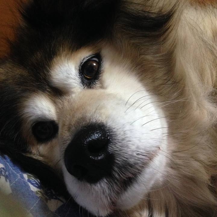 00944f3d 741b 45df 9fcb 2d9442e21708 1588840778521