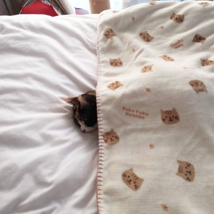 00946c29 7bcd 4e98 8ec1 dcdc31aa0e33 1608939395109