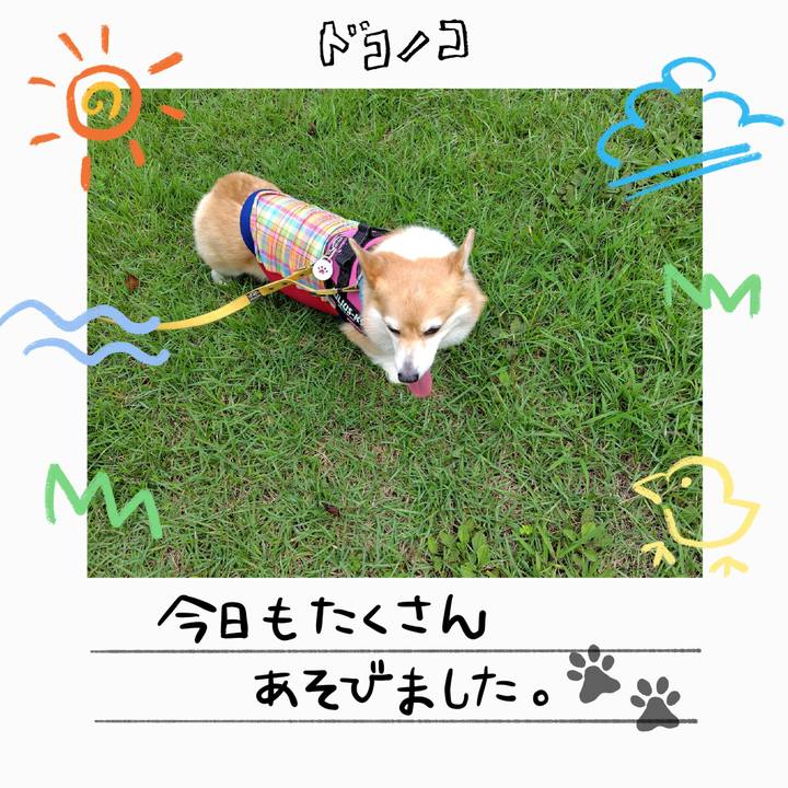 00948c23 821c 43f8 8e3b 9343300eb9d8 1755426585972