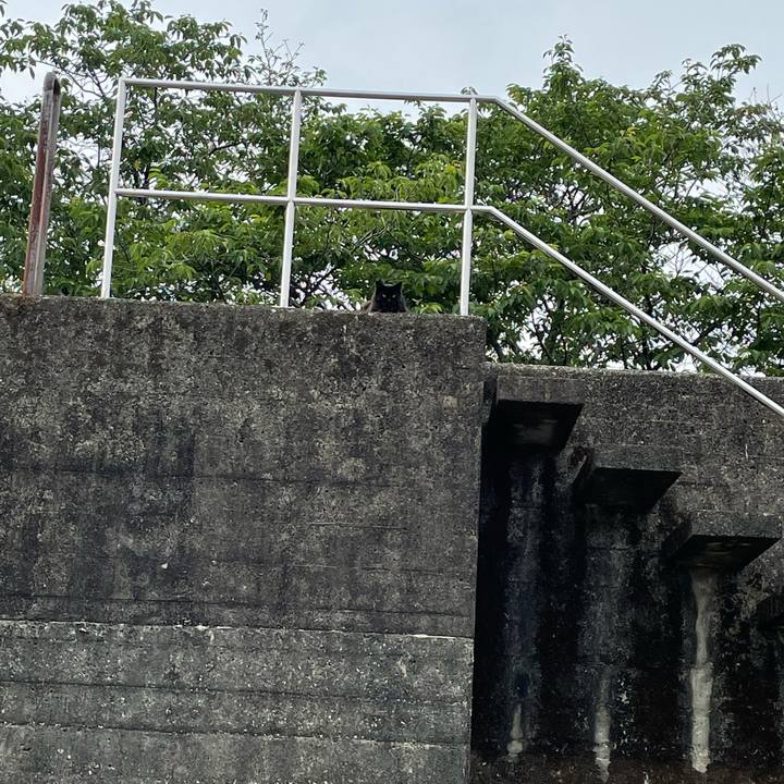 0094bb7d 6bab 4063 92b4 45ac031d5f2e 1653316424402