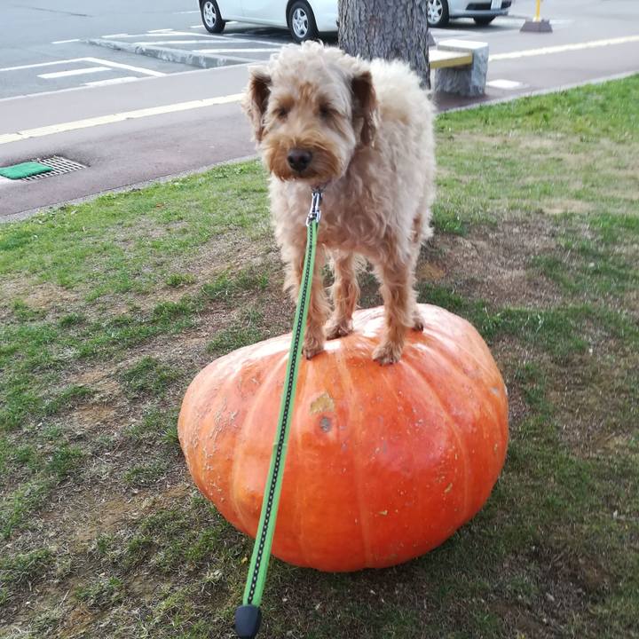 0094de73 9ace 486d 88a6 2f5e275444aa 1570450178747