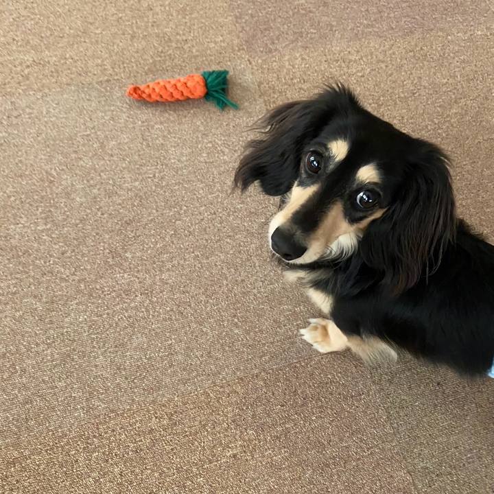 0094efe4 1f38 40e3 b38a 28069f5dd595 1714198220970