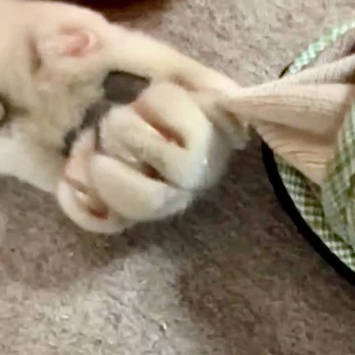 0094f1fd 2b34 4049 95f2 c34e2c3e6f3b 1737337000534