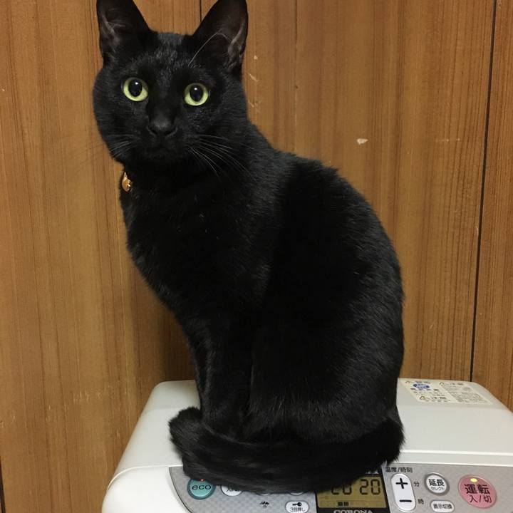 0094fd1a 60b1 48d9 8964 21647b724f15 1515929521972