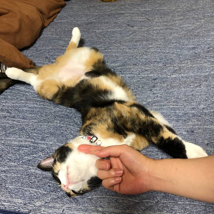 0095106b 164e 4ba4 b304 409138031da1 1565744293412