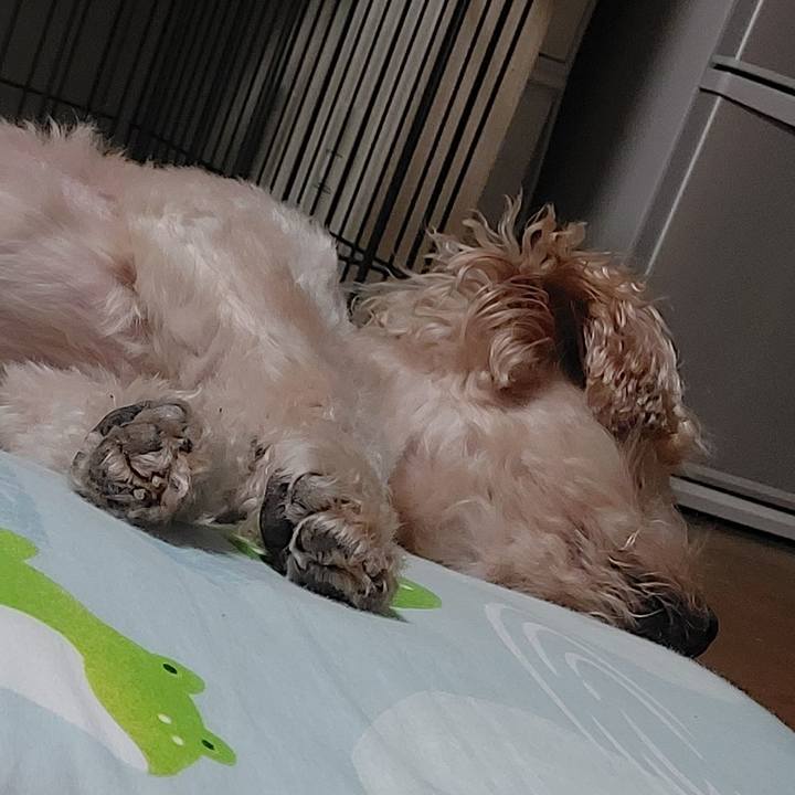 0095278e 1751 4a76 8d39 e5561cf6c2c2 1663564036274