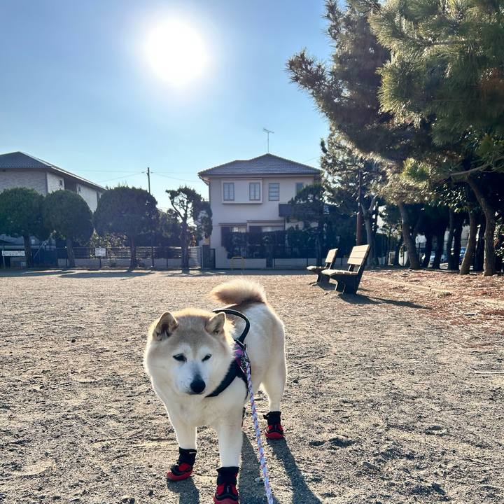 00953727 9f2a 486d bf7b 0dafde432a78 1737357834704