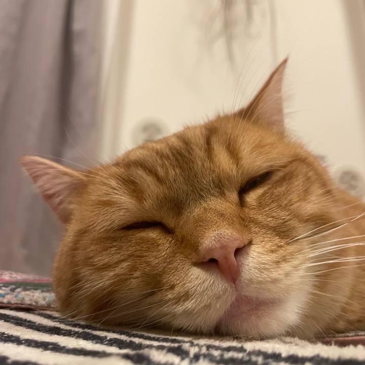 009566d0 967f 4b34 ac12 308314782699 1771504318519