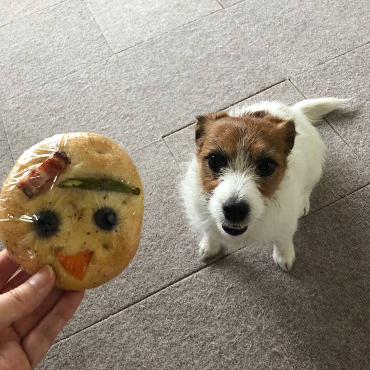 0095933e ee96 4da4 89c0 70a8133e30db 1603974600921