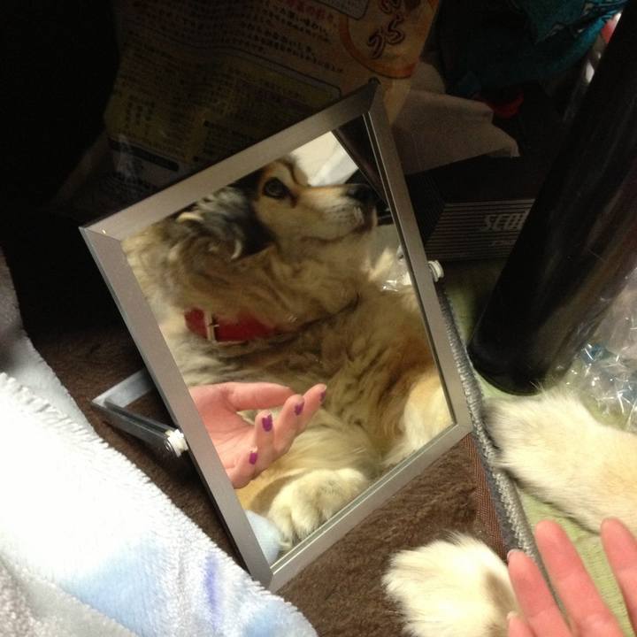 0095a310 96d1 487d a9ef 6873f95d8cf8 1601444041169