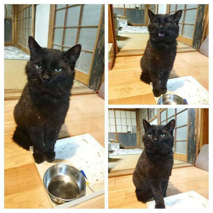 0095d4be 95ee 4f61 8027 247328e54952 1620902249745