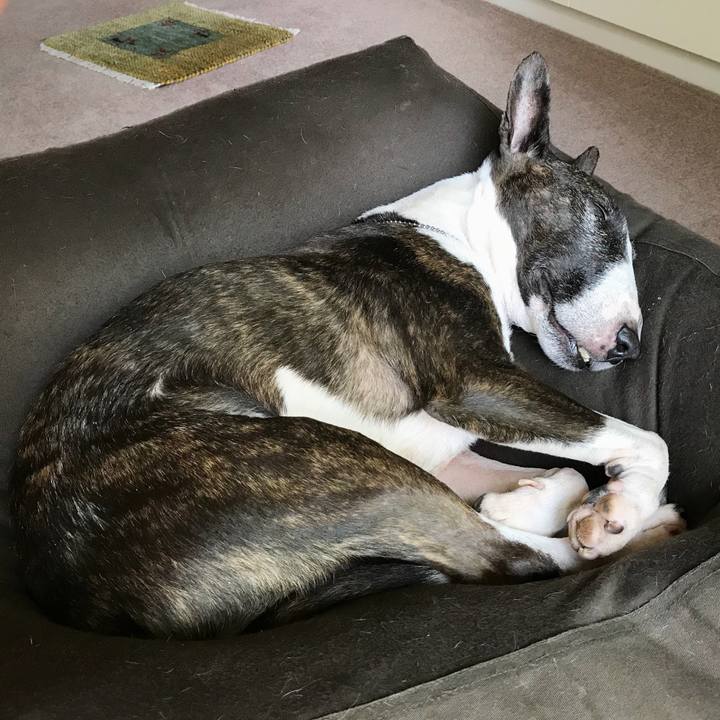 0095df85 e503 45f8 806c 24d176825384 1527834018274