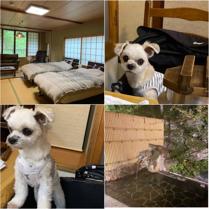 0095fe20 6697 4fce 9c6a ec4aacf5db9d 1570499232158