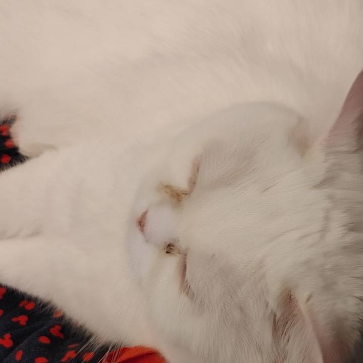 00961509 50f3 42d3 82e8 e42e7a98b58f 1612066703452