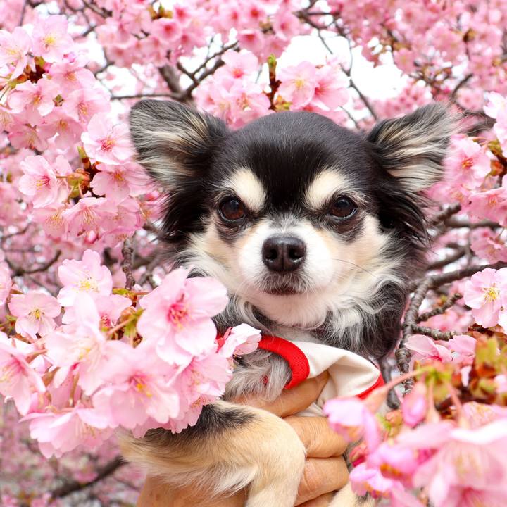 009623f8 dc4b 47a3 ac61 f1efcd9a10d9 1773118525679