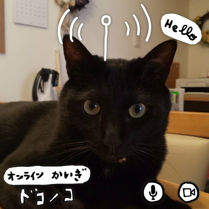 009650d3 abfb 47d6 a654 73d1a1b7f456 1590805427187