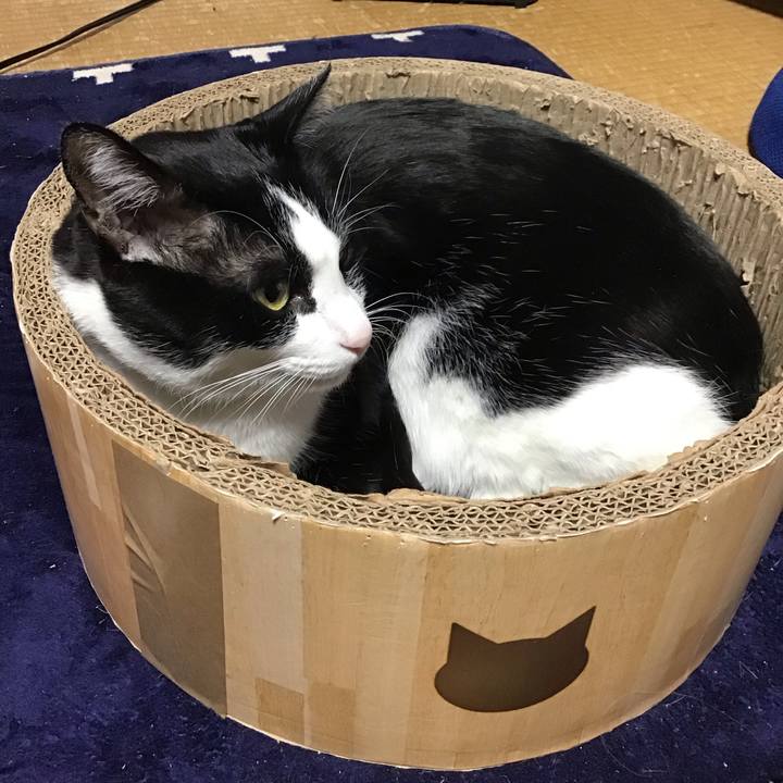 00965ef3 0676 48e5 a2cd 502039f8b283 1738475337138