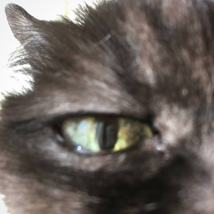 0096a92d e535 47af a54e 4ca55617378b 1573919215394