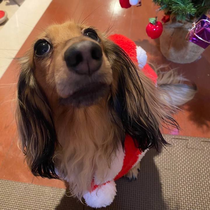 0096a92e d648 46cf 884f c0f50379592c 1671922910344