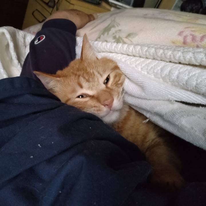 0096aebc 515e 4563 81a9 60e0d9dcae71 1679611303164