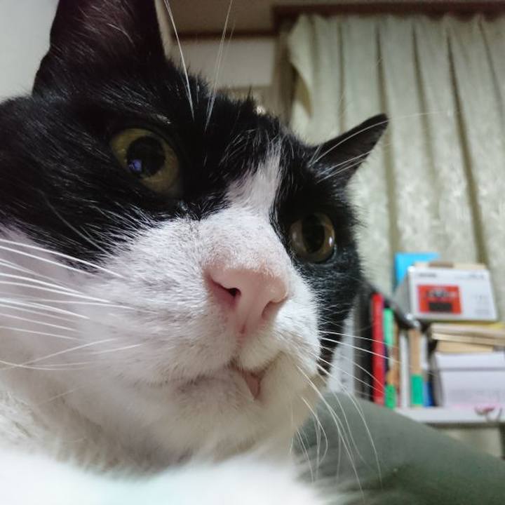 0096dcb8 998f 4d31 9fb9 1d157025976e 1562581140756