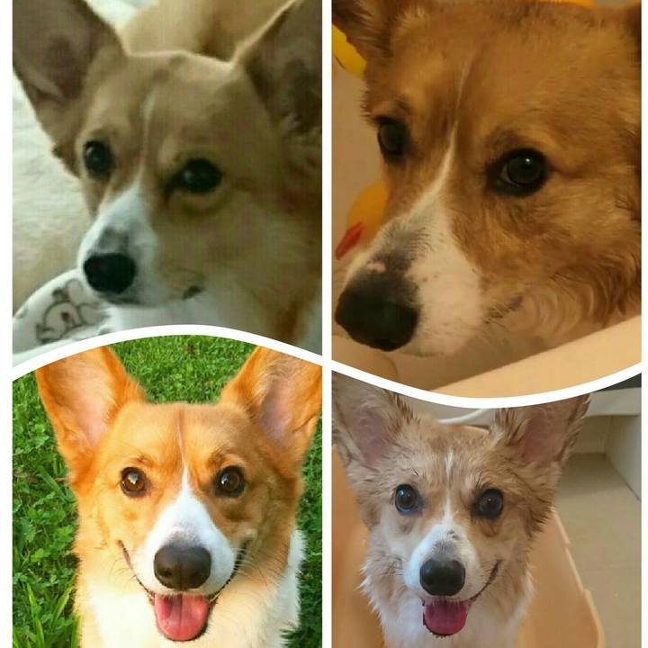 0096dfe5 18b3 484f 9933 acc06e817f45 1535431678815